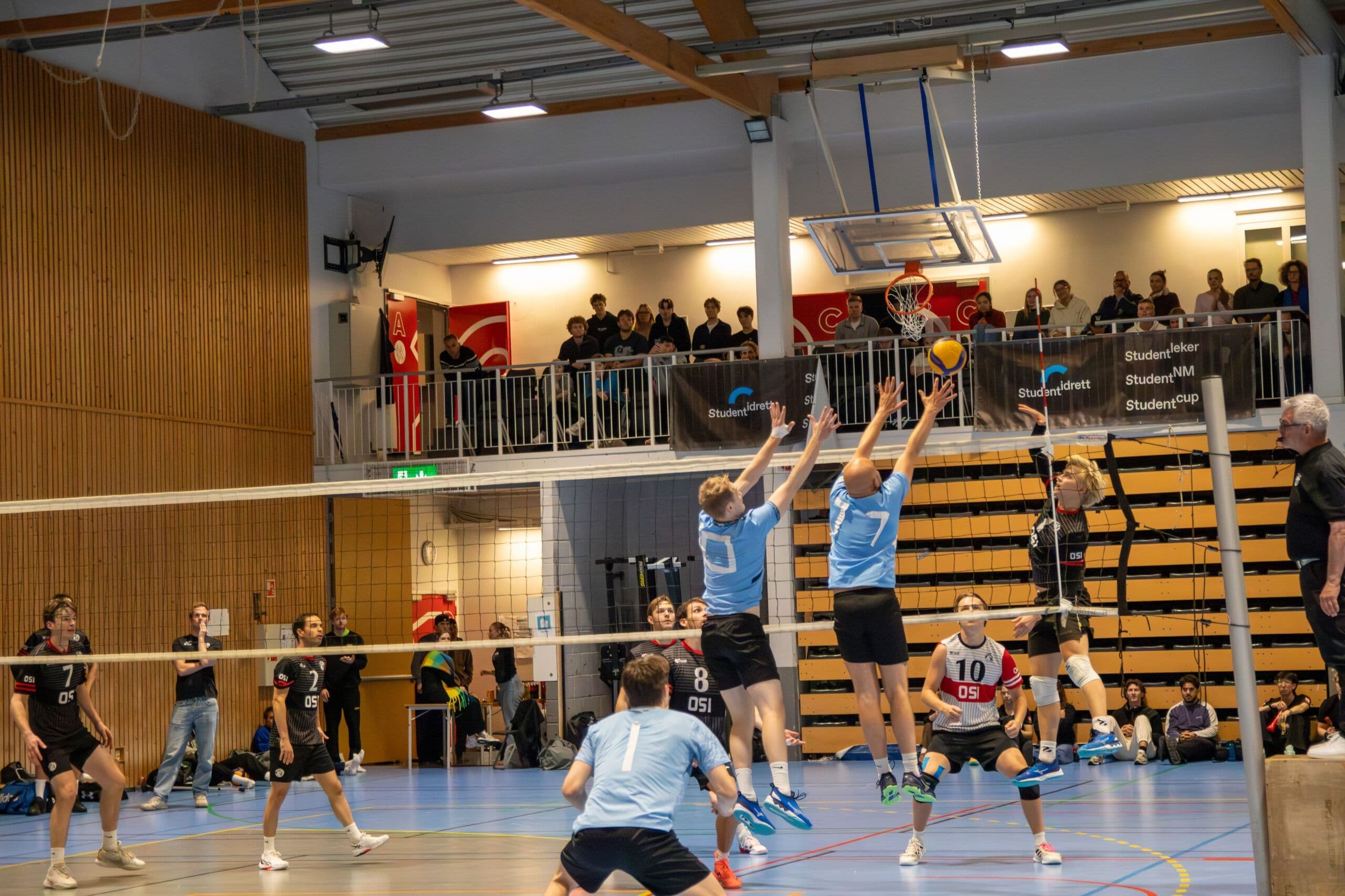 Volleyballspillere i aksjon ved nettet i en idrettshall med tilskuere på tribunen.