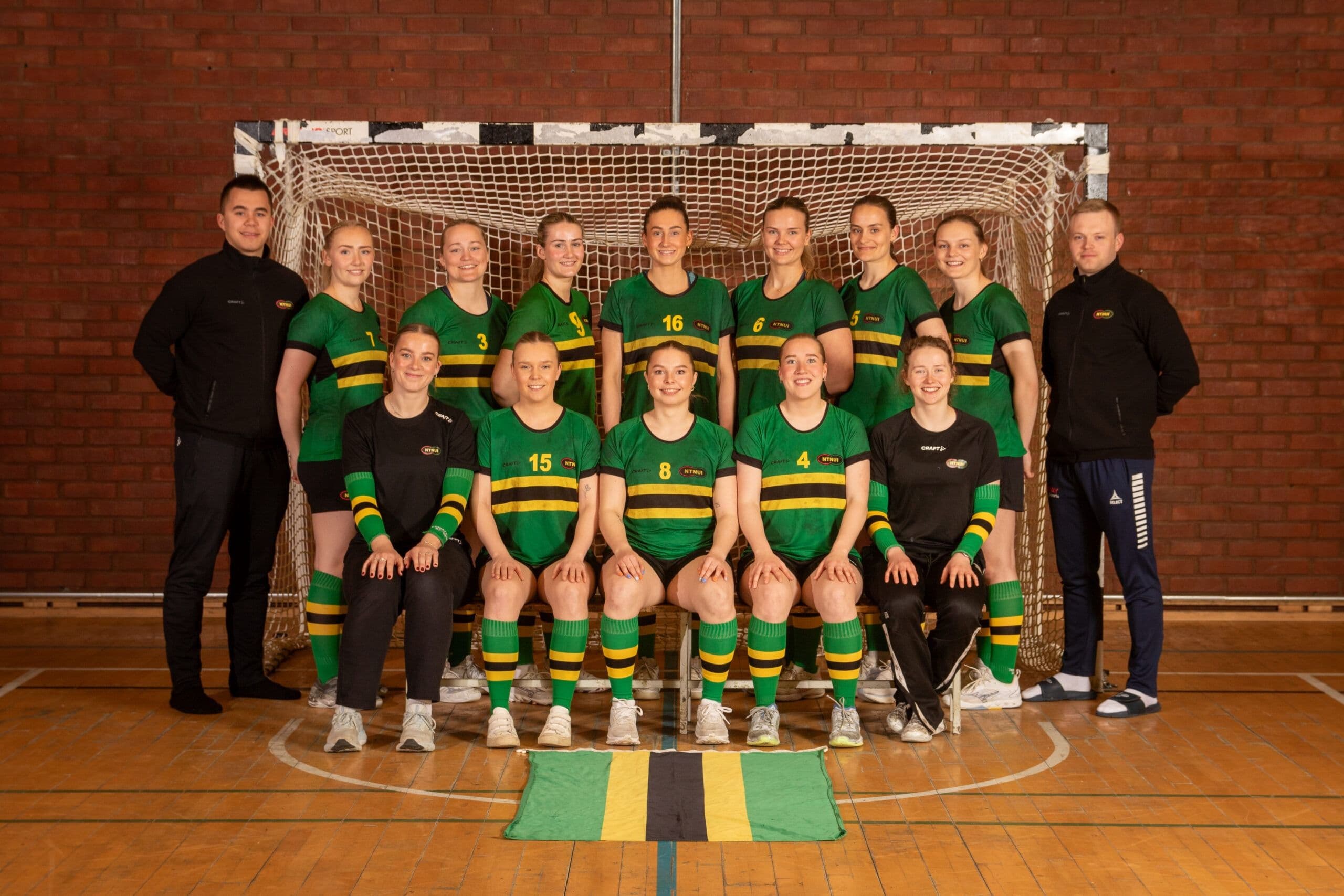 Lagbilde av et håndballag i grønne og gule drakter foran et håndballmål.