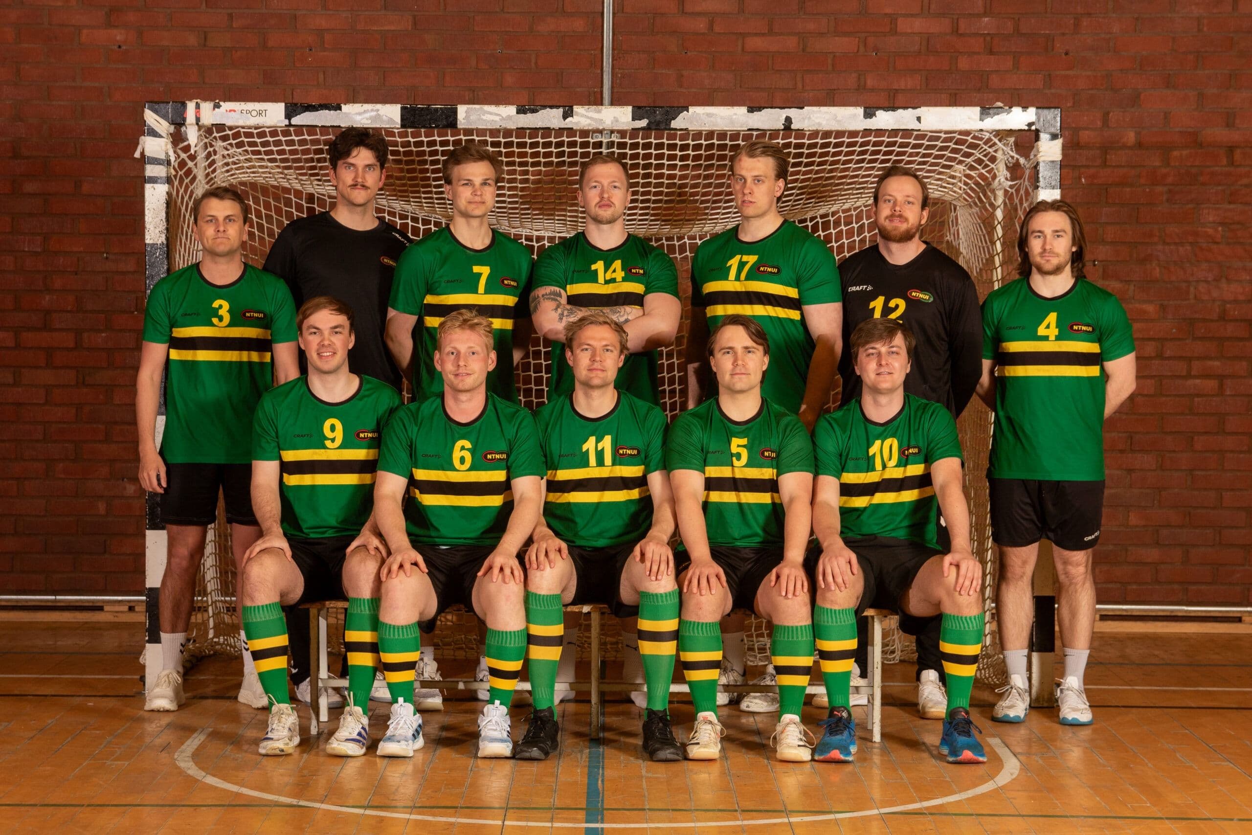 Lagbilde av et mannlig håndballag i grønne og gule drakter foran et håndballmål.