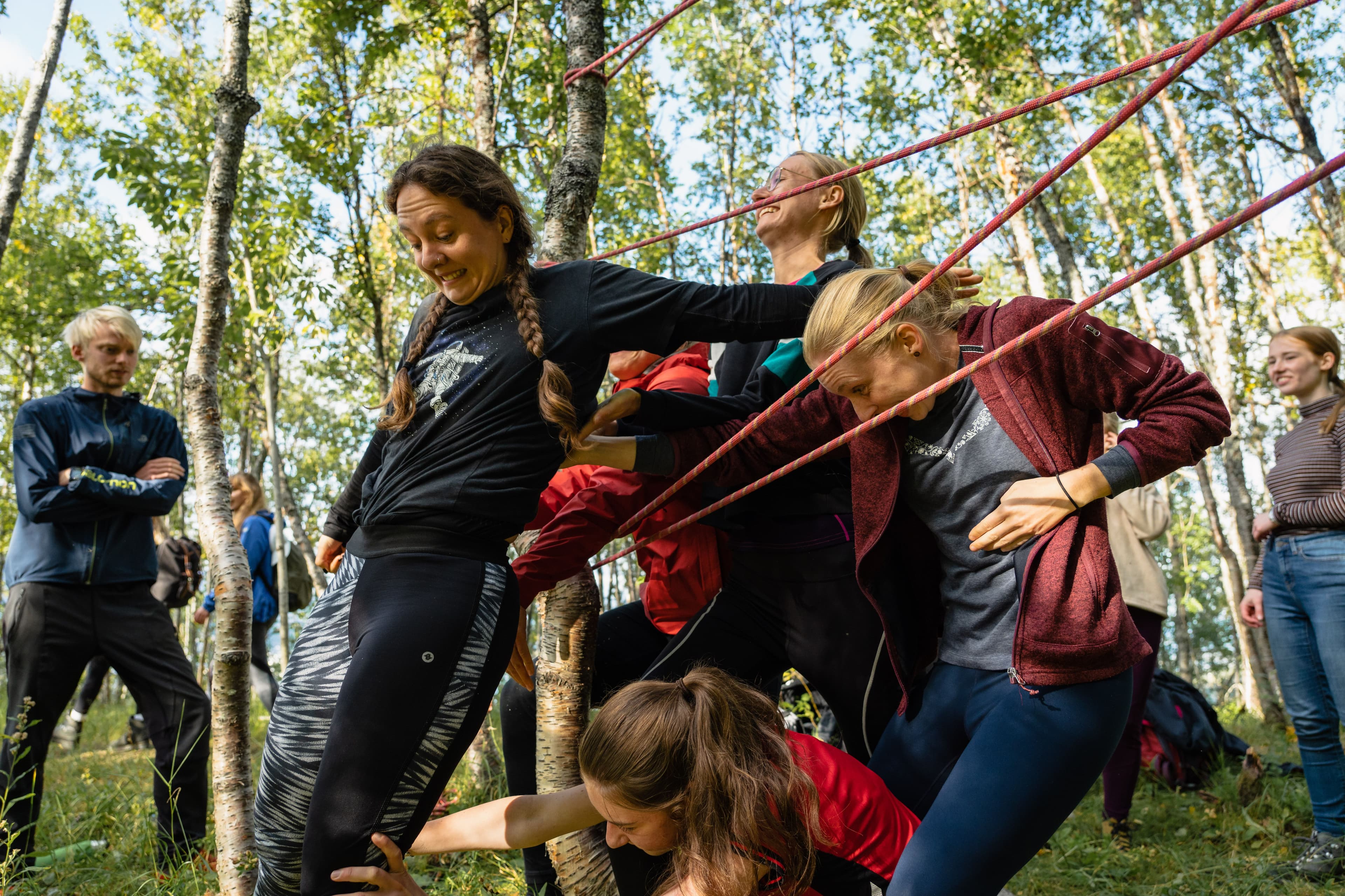 En gruppe studenter samarbeider om en fysisk aktivitet med tau mellom trærne i en skog.